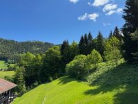 Ausblick K&uuml;chenfenster